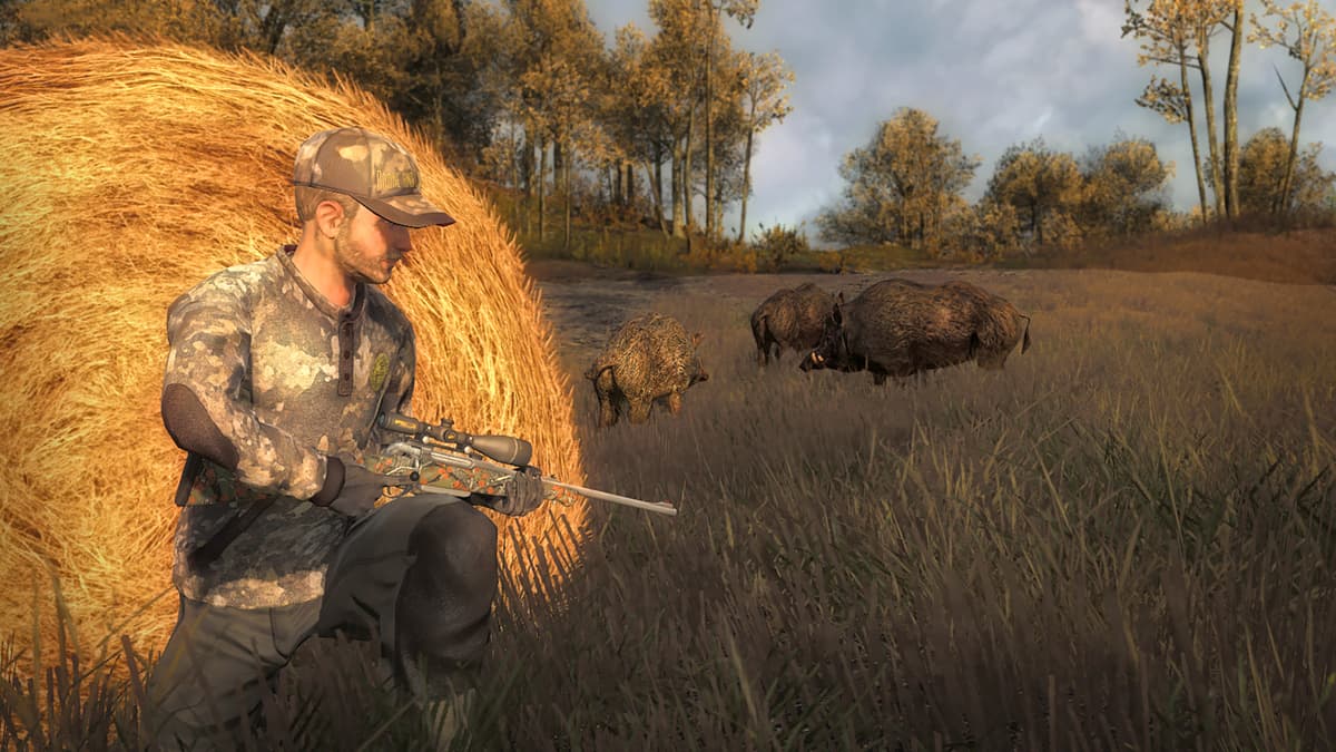 Screenshot of theHunter game