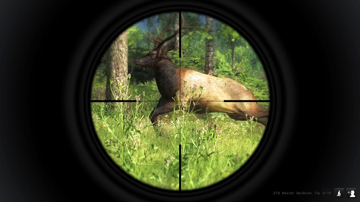 Screenshot of theHunter game